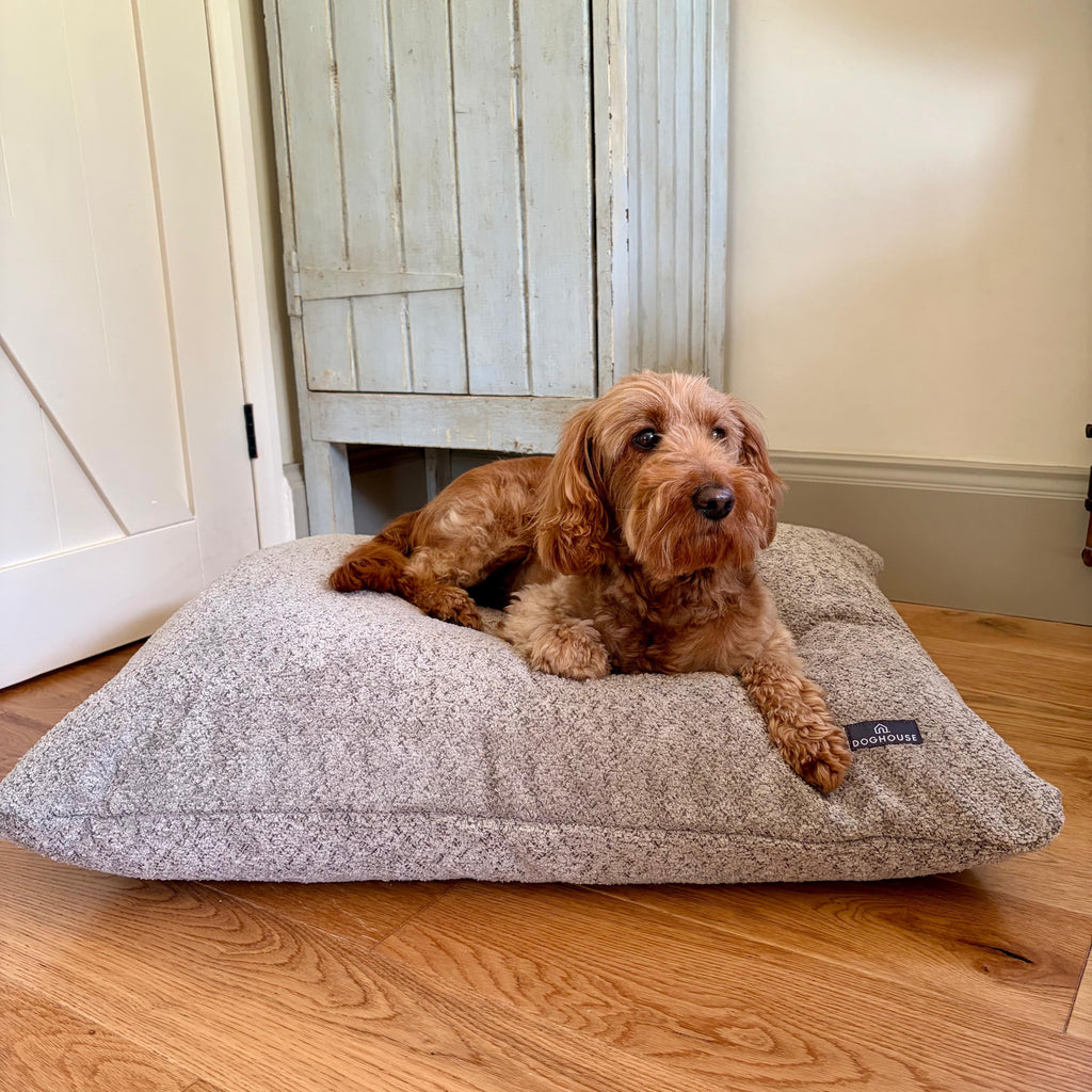 Pawliora Chenille Bed Pad for Dogs