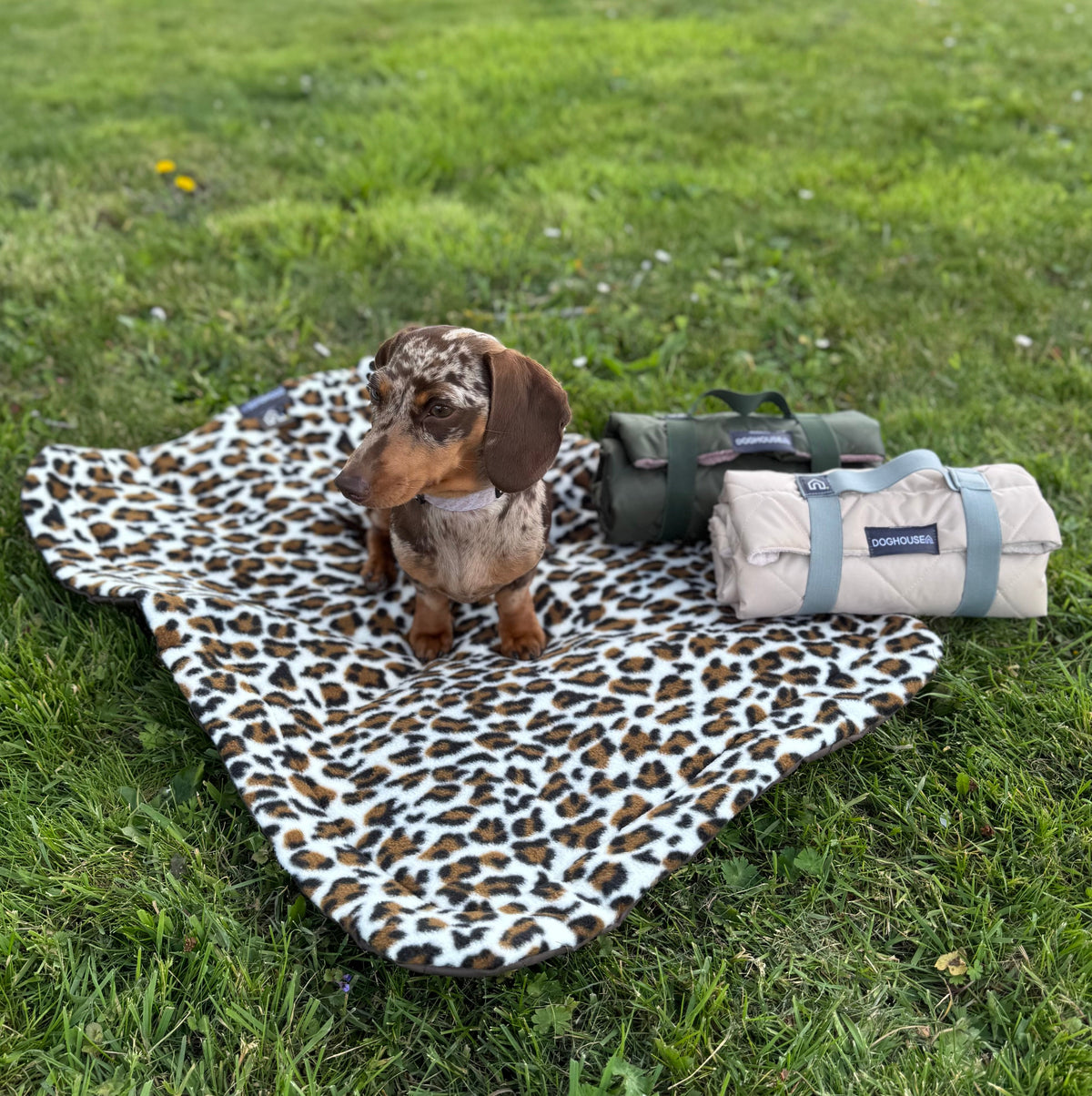 Pawliora Waterproof Pet Settle Mat