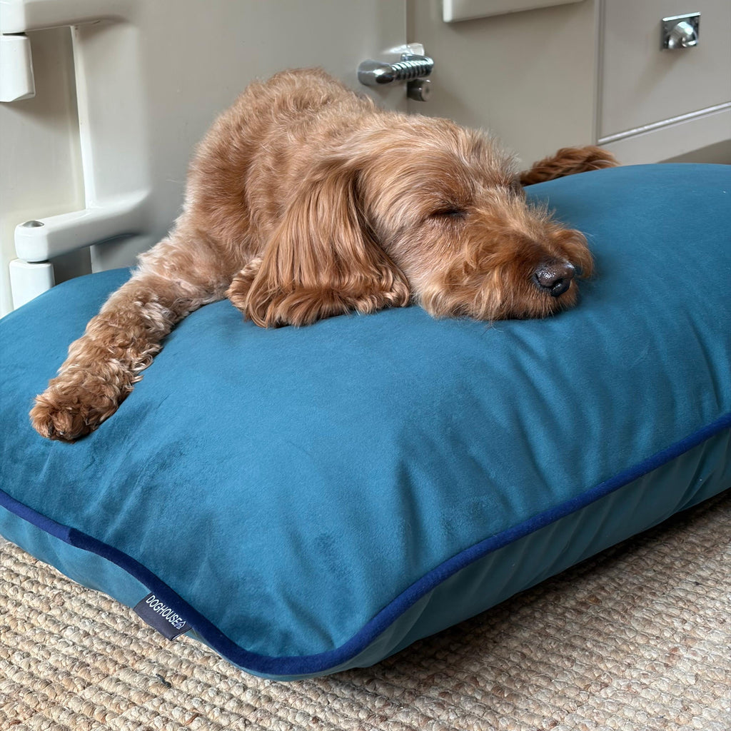 Pawliora Velvet Bed Pad for Dogs