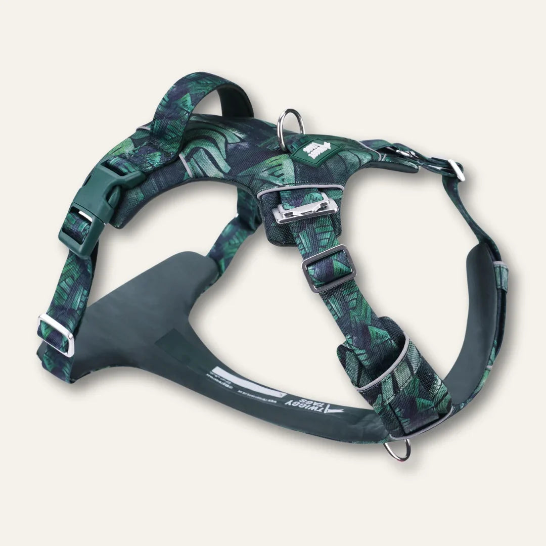 Twiggy Tags Canopy Green Adventure Harness 2.0