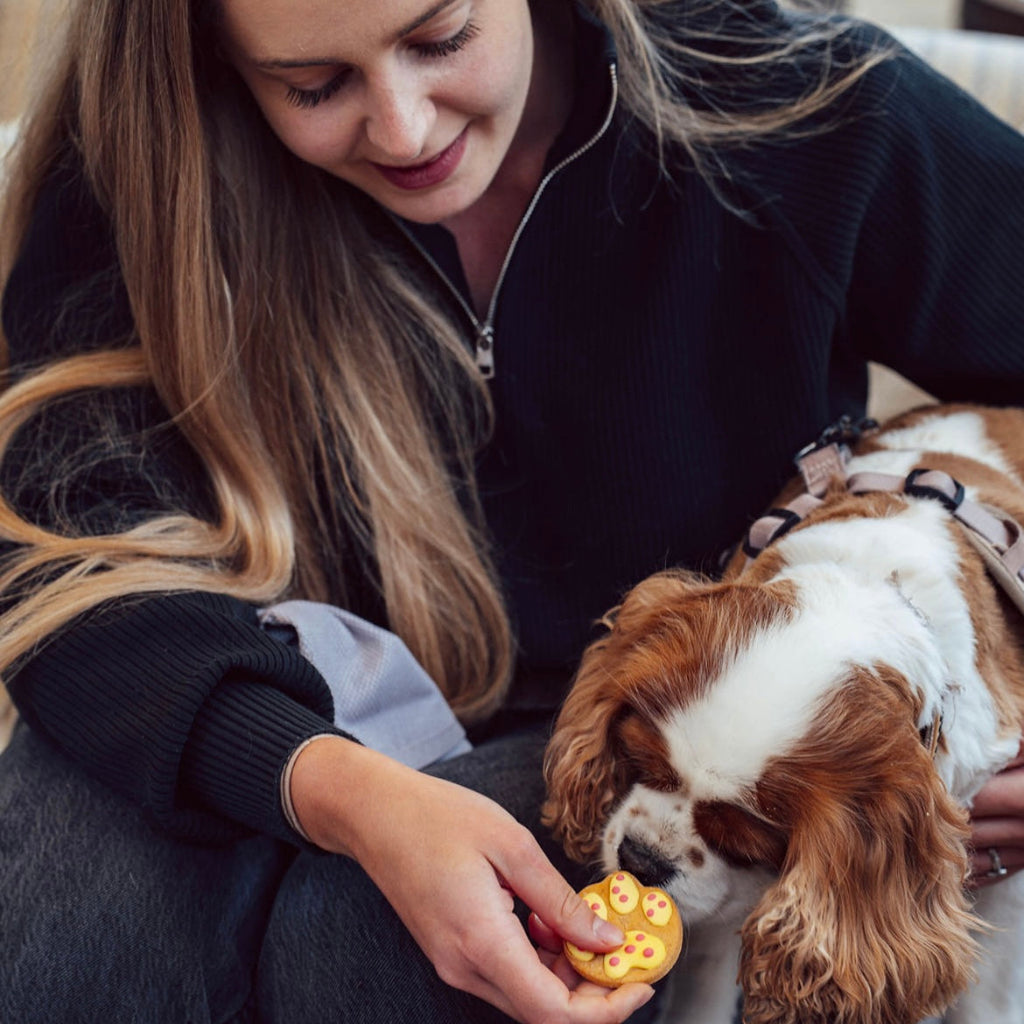 Paw Print Biscuits for Dogs