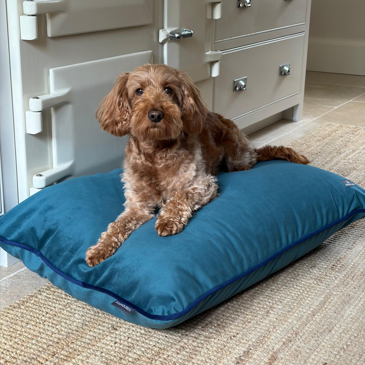 Pawliora Velvet Bed Pad for Dogs