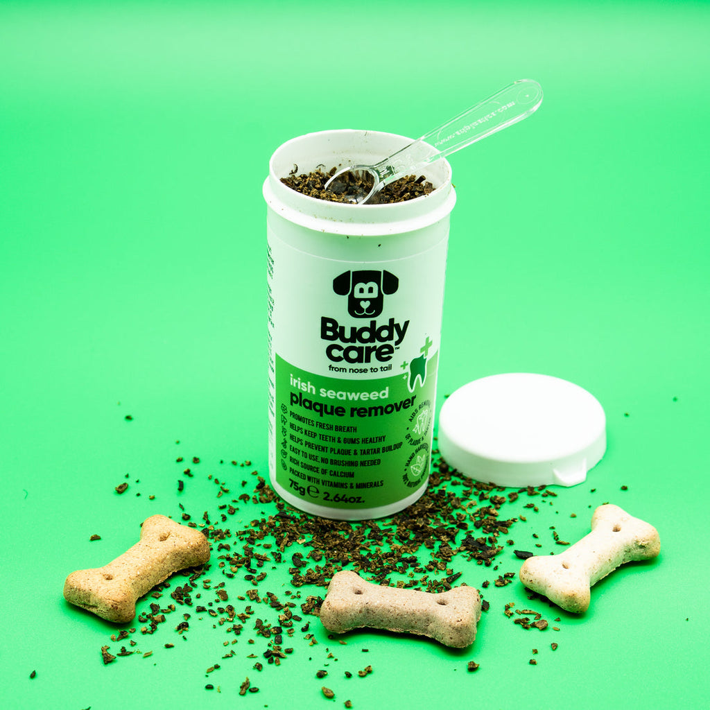 Buddycare Irish Seaweed Plaque Remover