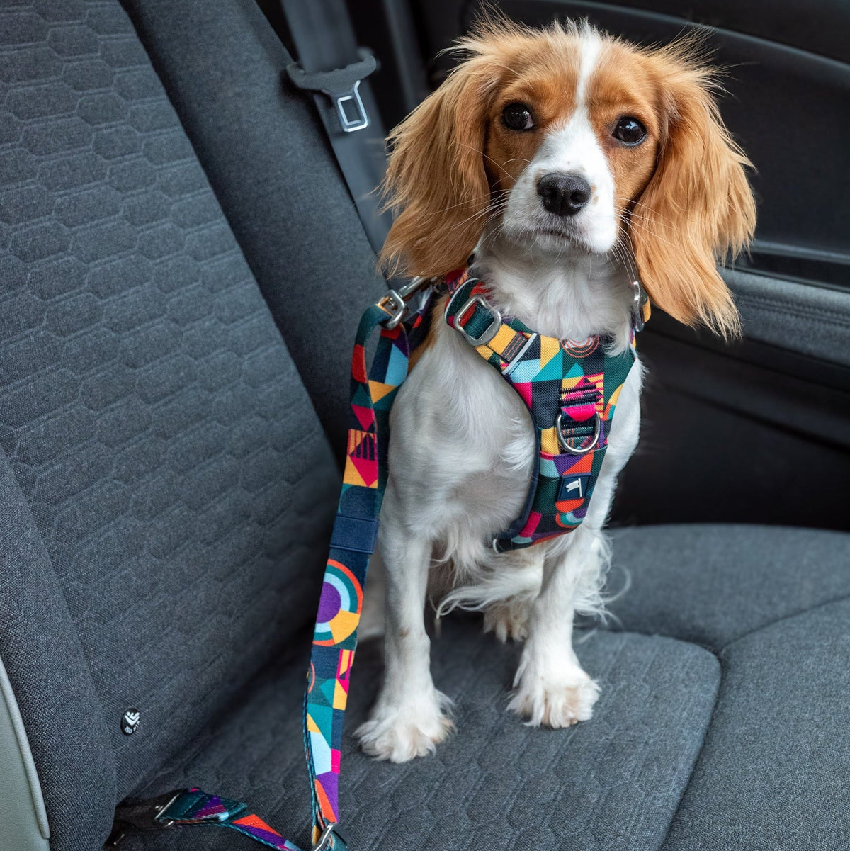 Twiggy Tags ISOFIX Dog Seat Belt