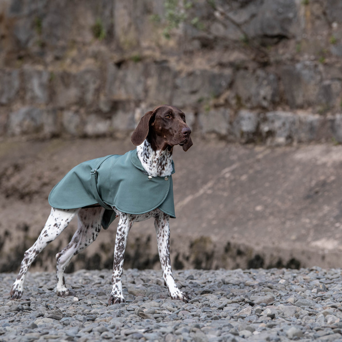 Pawliora Waterproof Coat for Dogs