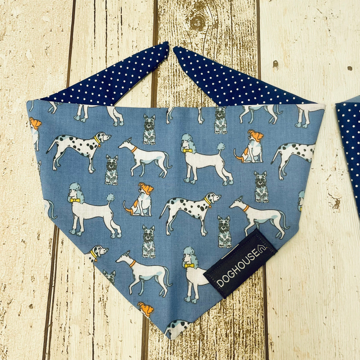 Blue Dog & Navy Spot Dog Bandana