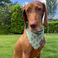 Green Retro Flower & Gingham Dog Bandana