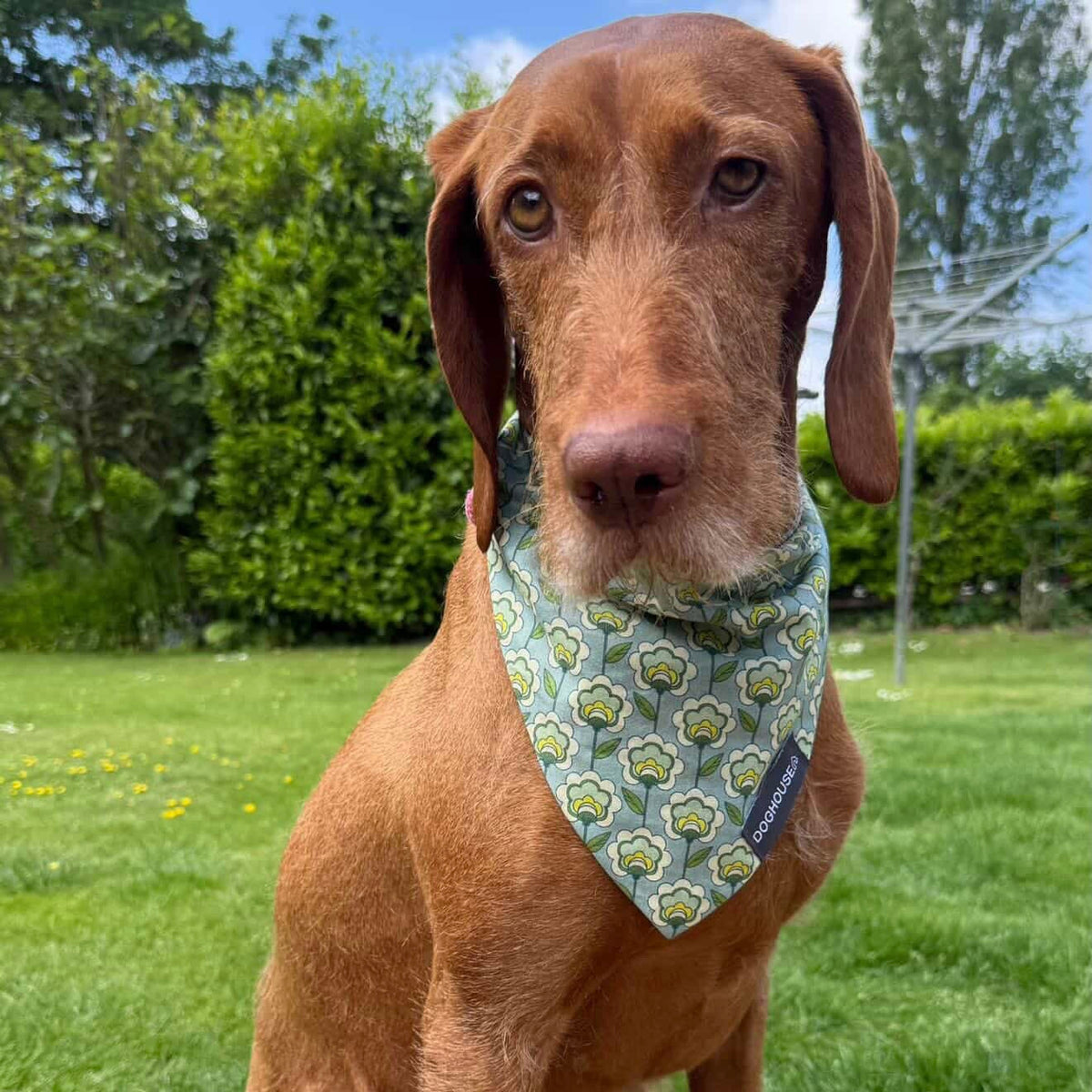 Green Retro Flower & Gingham Dog Bandana