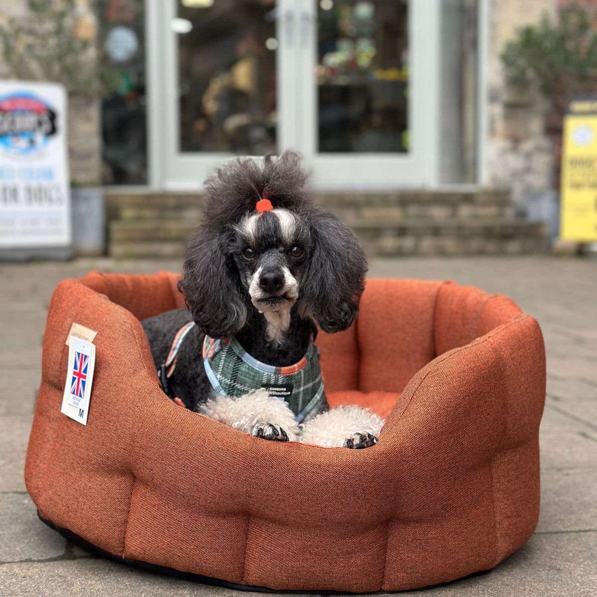 Earthbound Camden Burnt Orange Dog Bed
