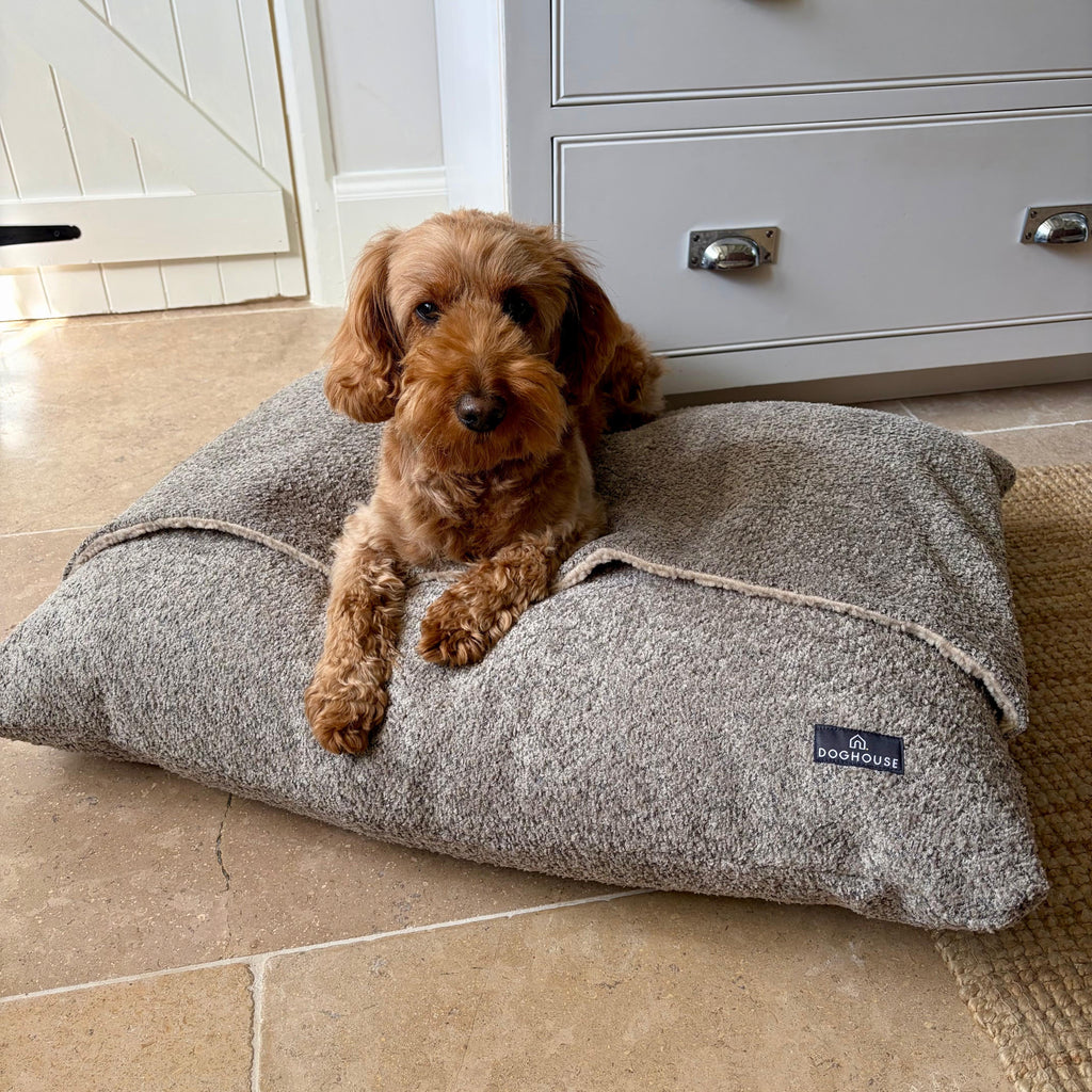Pawliora Burrow Bed for Dogs