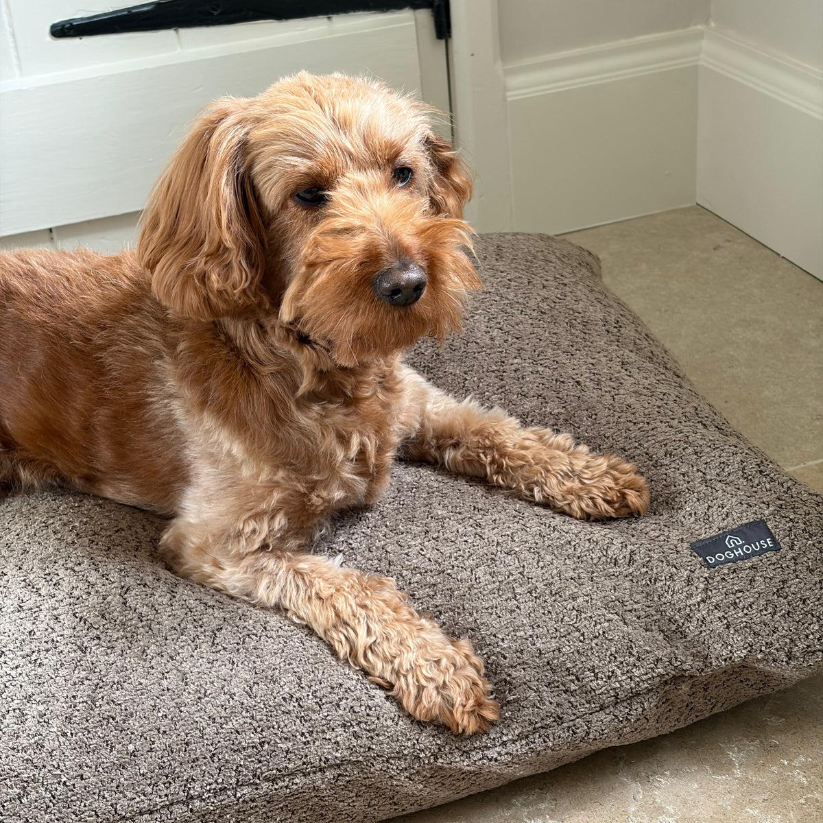 Pawliora Chenille Bed Pad for Dogs