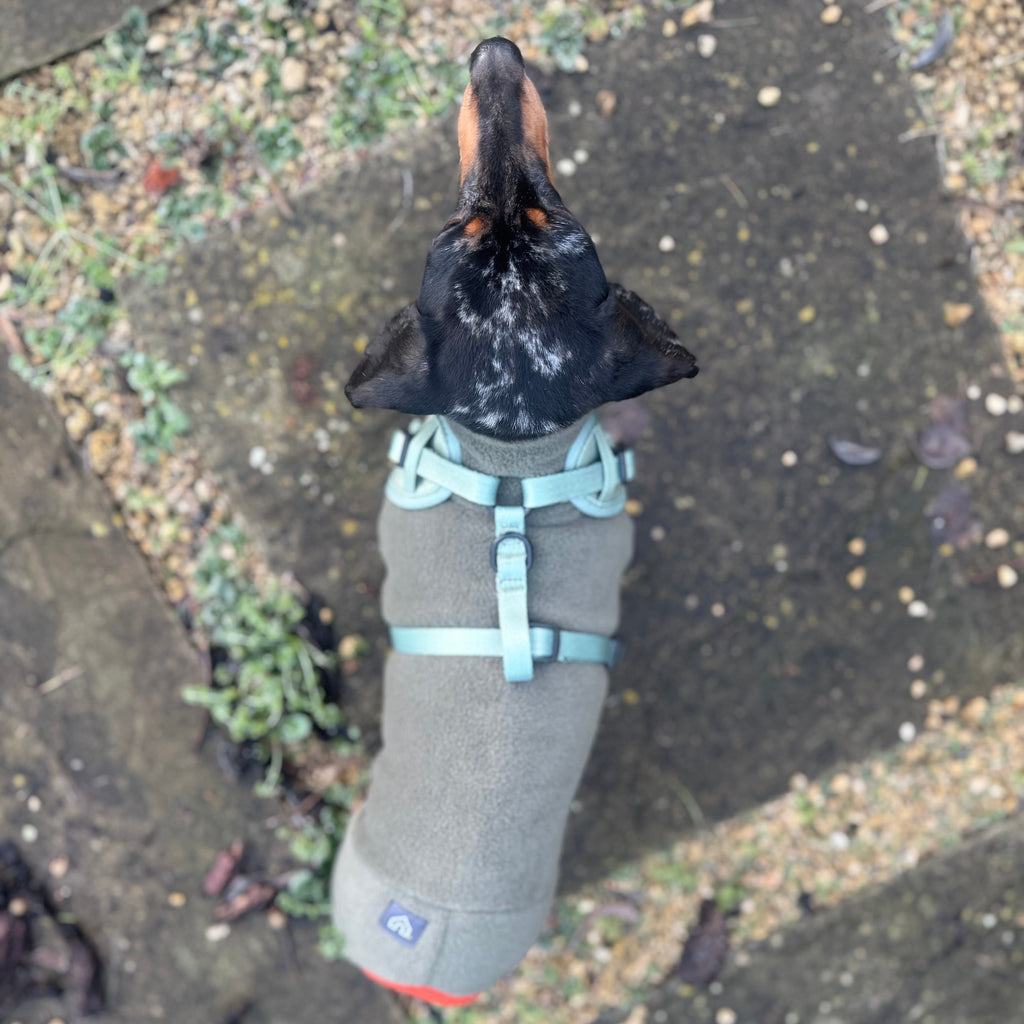 Pawliora Everyday Comfort Harness in Olive Green