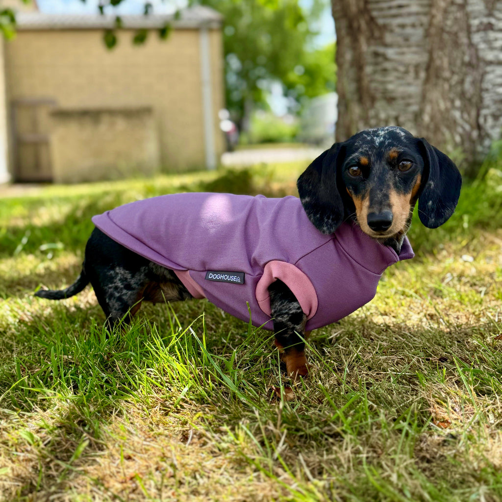 Dachshund Summer Ponte T-Shirt