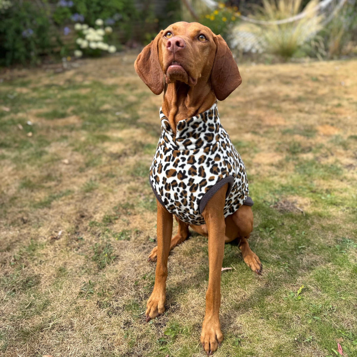 Wild Animal Print Fleece Jumper for Dogs