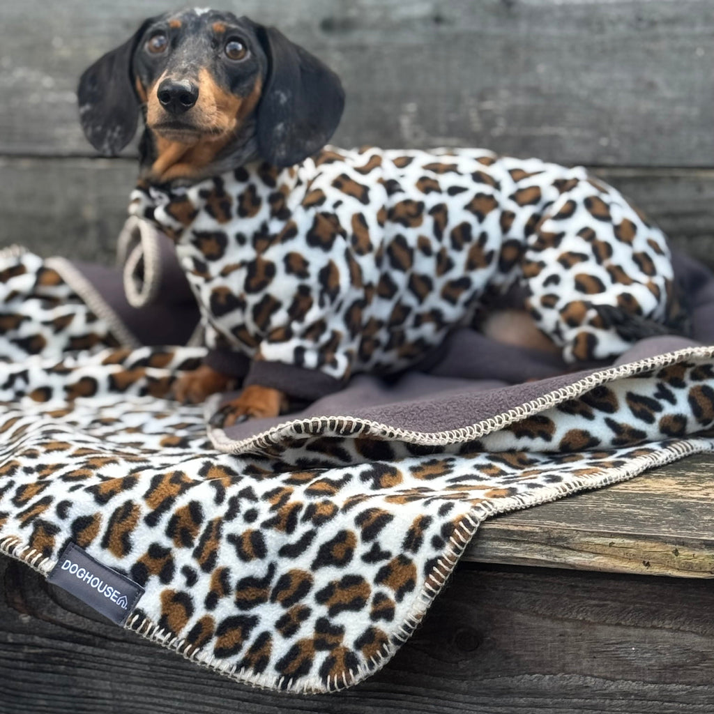 Pawliora Double Wild Blankets for Dogs