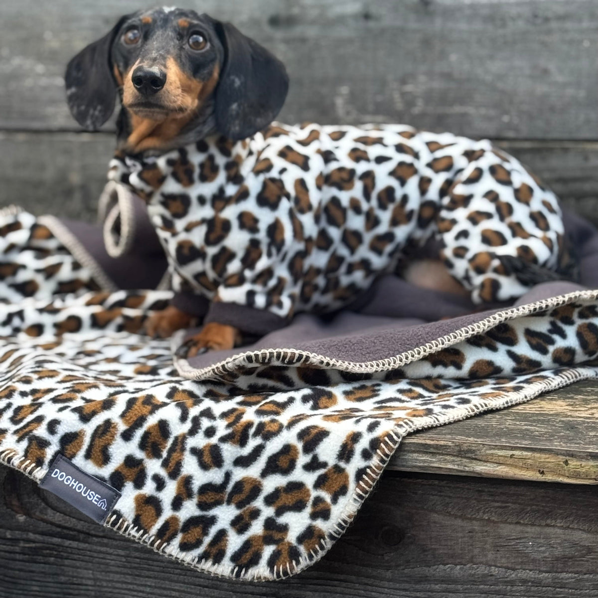 Pawliora Double Wild Blankets for Dogs