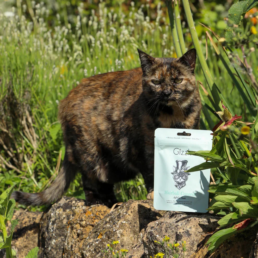 Gizzls Hairball Control Free Range Ostrich Soft Cat Treats