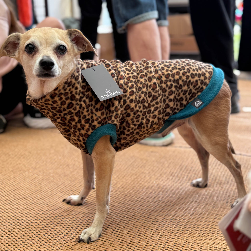 Wild Animal Print Fleece Jumper for Dogs