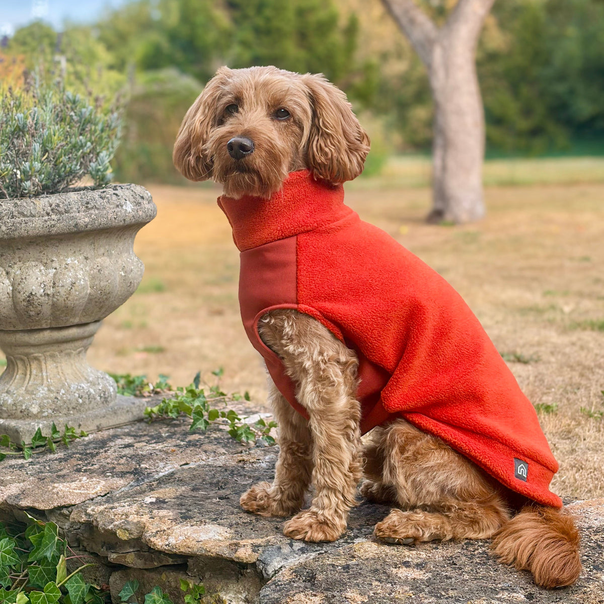 Dog Fleece Jumper with Waterproof Belly Panel