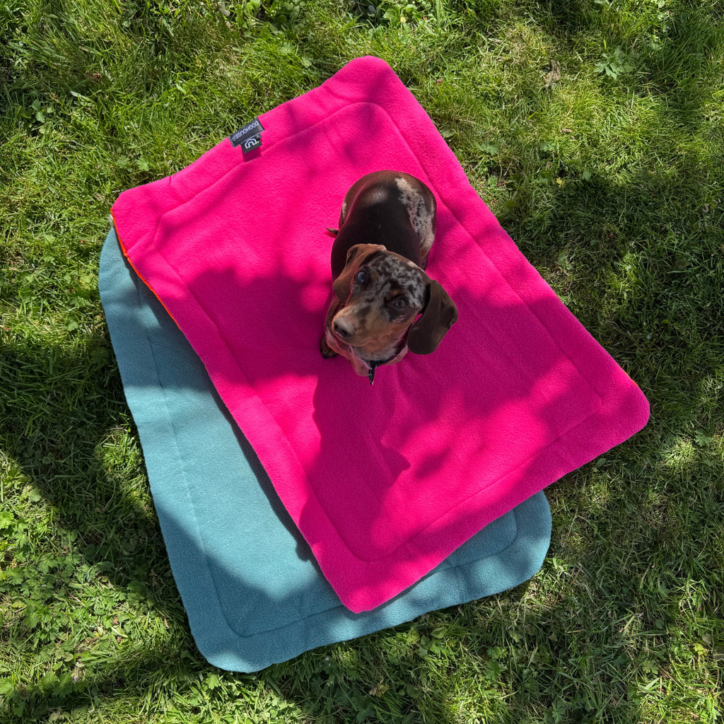 Pawliora Waterproof Pet Settle Mat