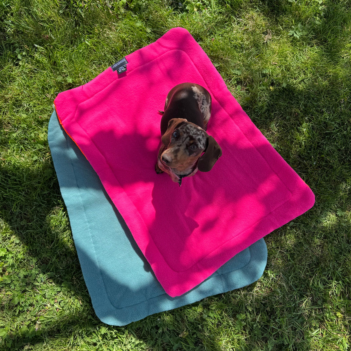Pawliora Waterproof Pet Settle Mat