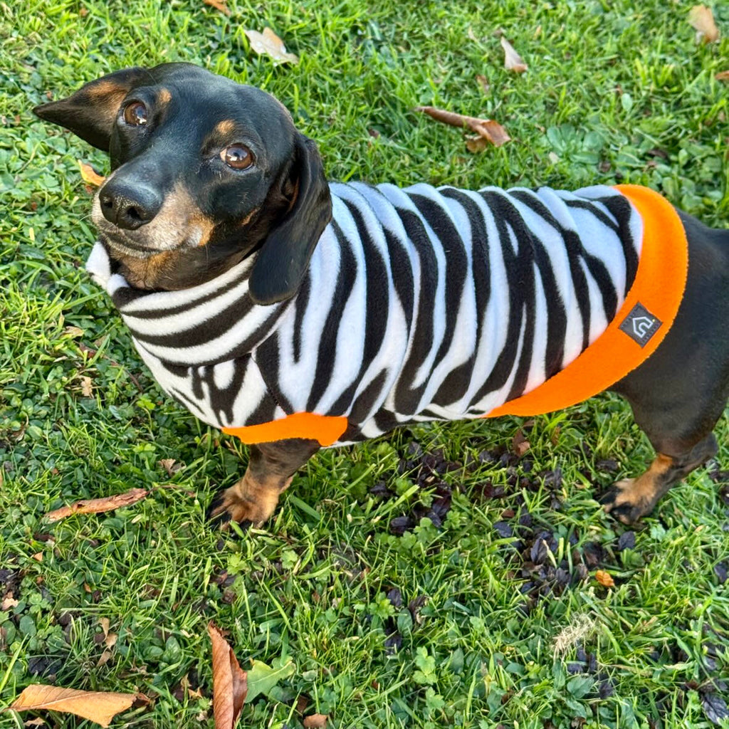 Dachshund Wild Animal Print Fleece Jumper