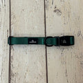 Pawliora Everyday Essential Collar in Forest Green