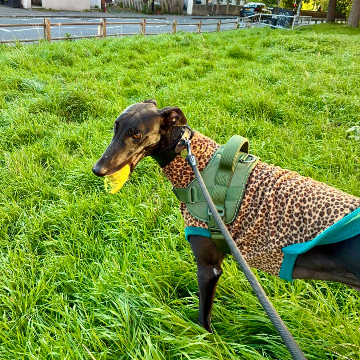 Wild Animal Print Fleece Jumper for Dogs