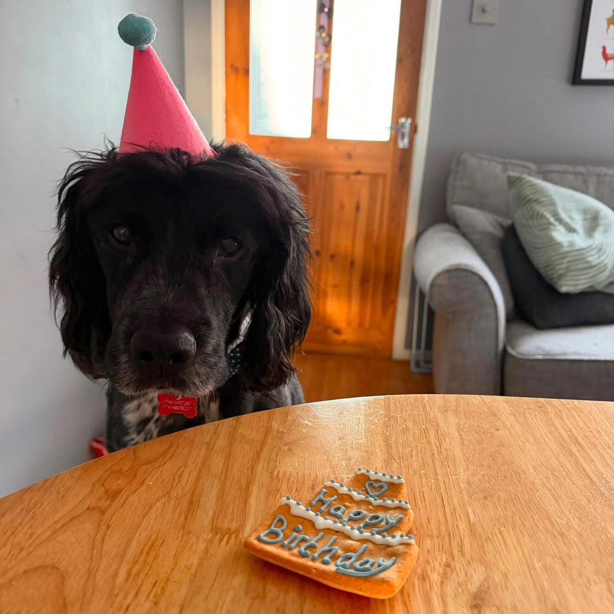 Happy Birthday Three Tier Biscuit for Dogs