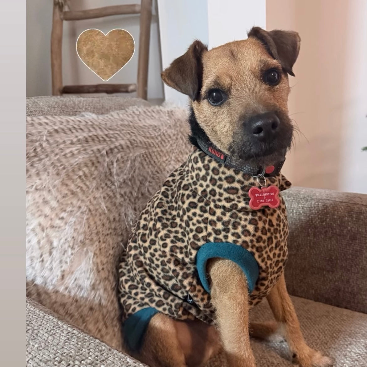 Wild Animal Print Fleece Jumper for Dogs