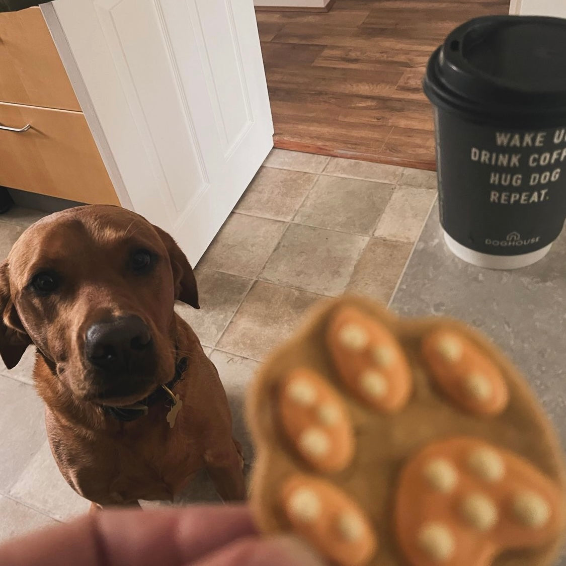 Paw Print Biscuits for Dogs