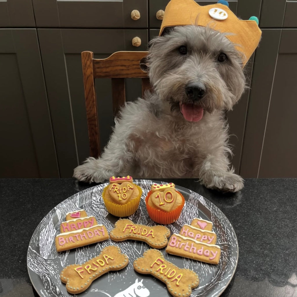 Happy Birthday Three Tier Biscuit for Dogs