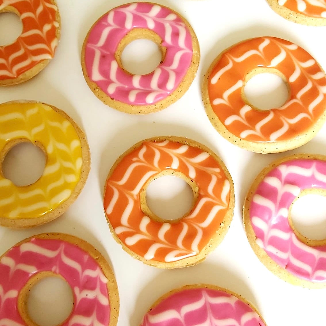 Party Ring Biscuit for Dogs