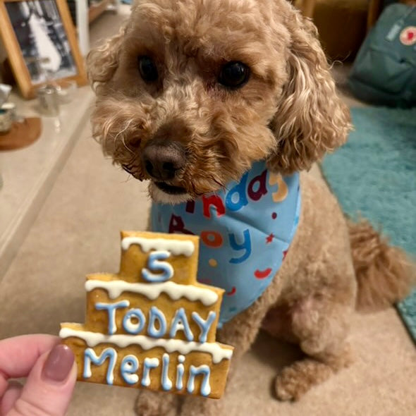 Personalised Three Tier Birthday Biscuit for Dogs