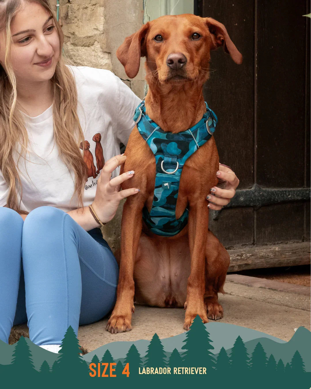 Twiggy Tags Adventure 2.0 Harness in Lagoon