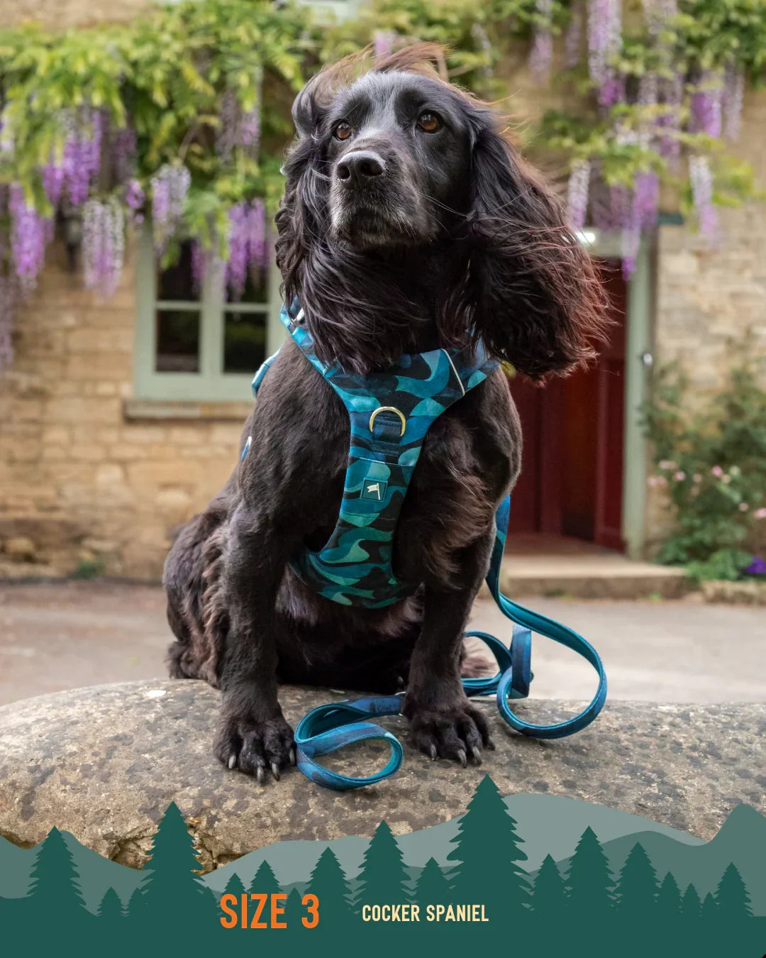 Twiggy Tags Adventure 2.0 Harness in Lagoon