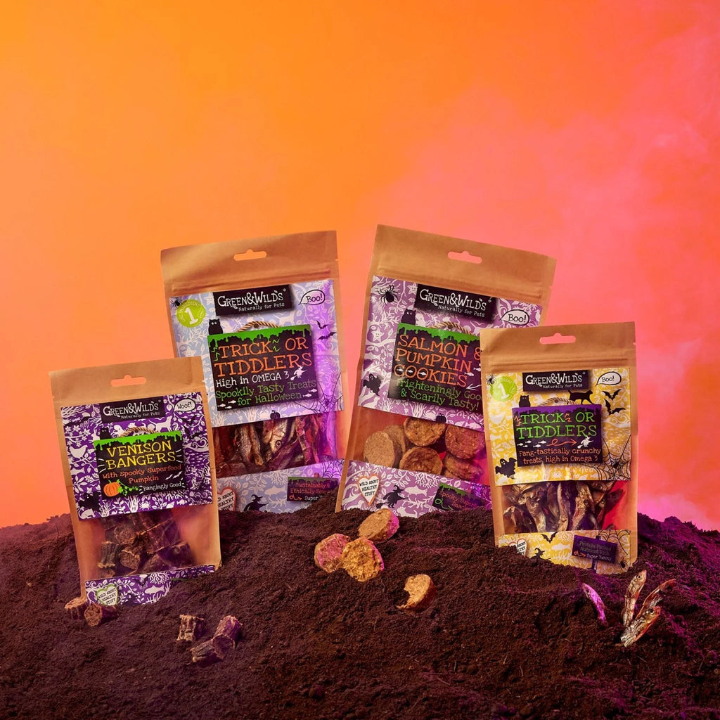 Green & Wilds Halloween Salmon & Pumpkin Cookie Dog Treats