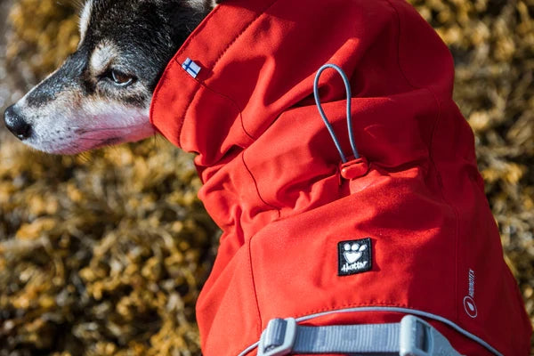 Hurtta Monsoon ECO Waterproof Dog Coat