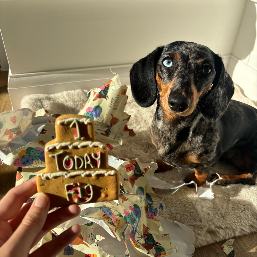 Personalised Three Tier Birthday Biscuit for Dogs