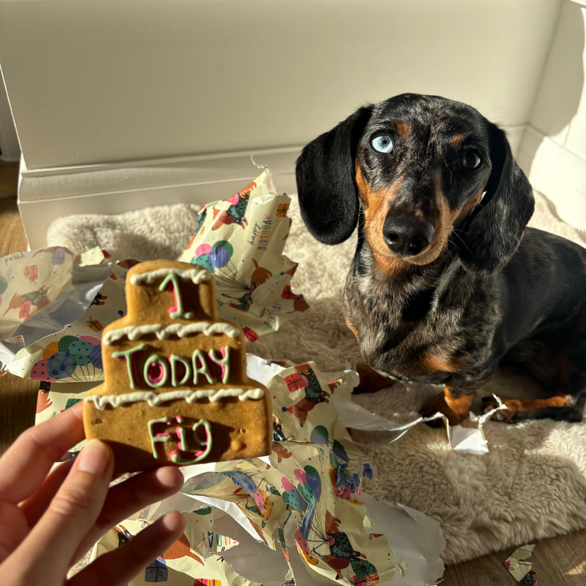 Personalised Three Tier Birthday Biscuit for Dogs