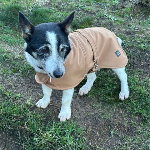 Pawliora Waterproof Coat for Dogs