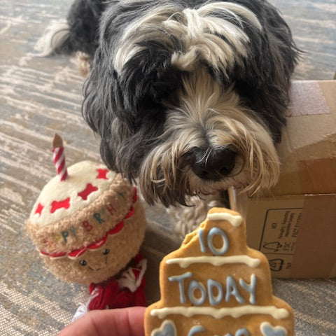 Personalised Three Tier Birthday Biscuit for Dogs