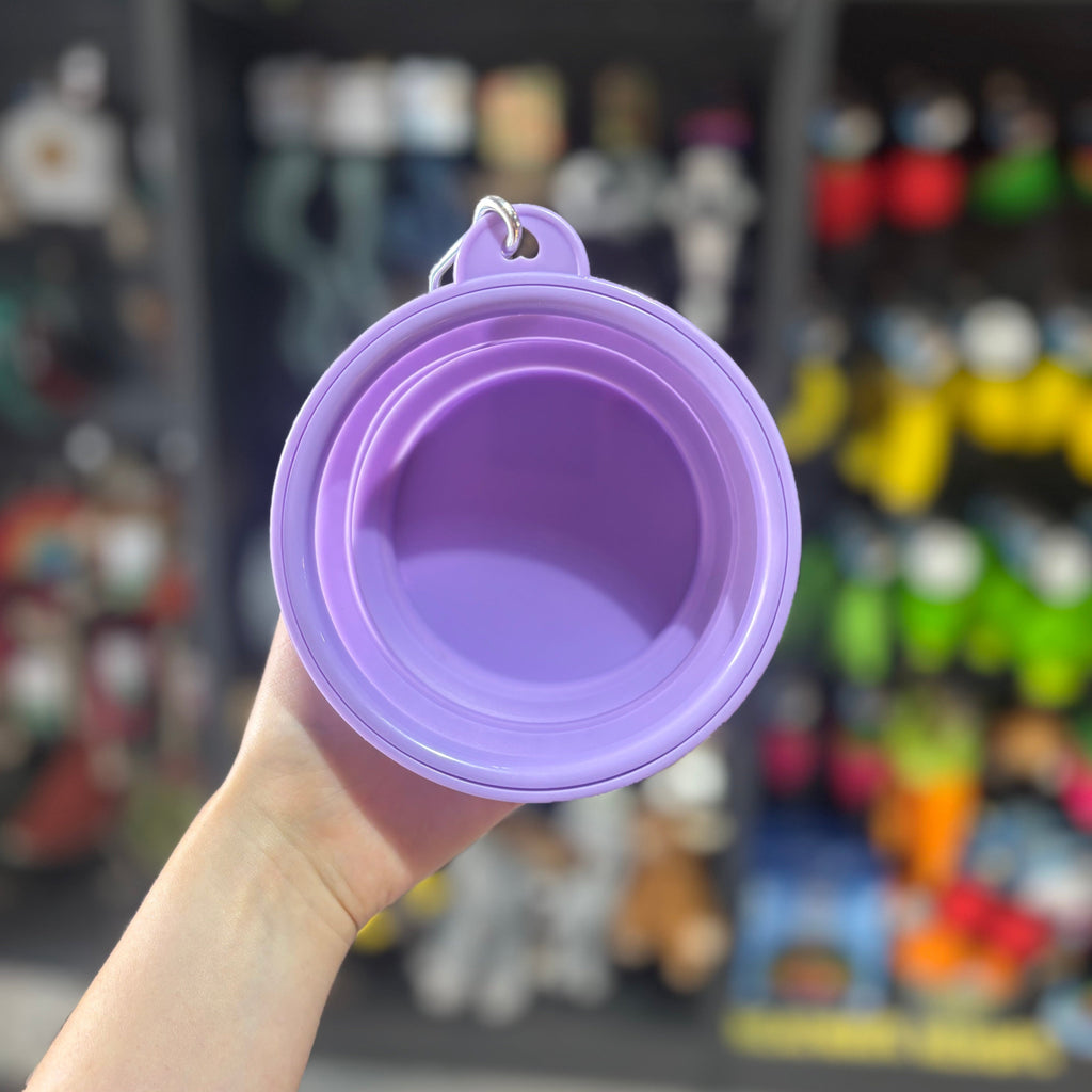 Pastel Collapsible Travel Bowls