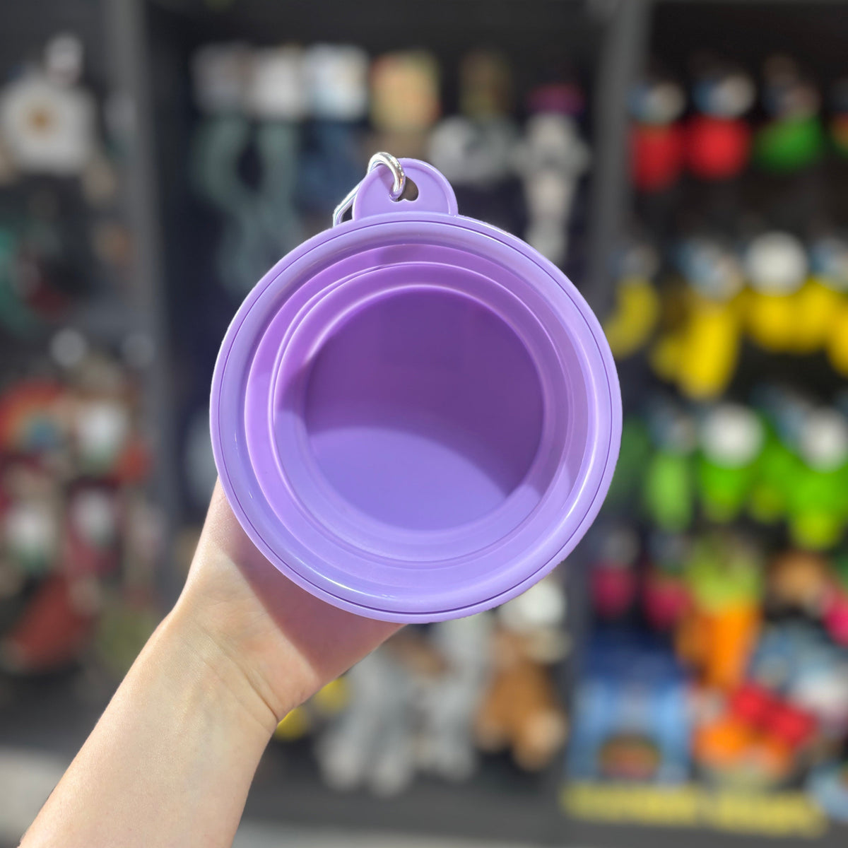 Pastel Collapsible Travel Bowls