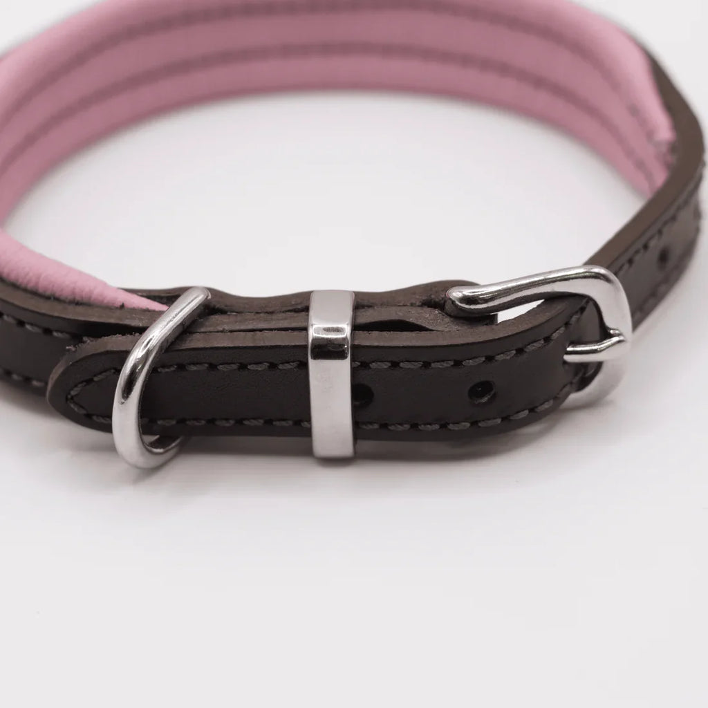 D&H Padded Pastel Real Leather Dog Collar
