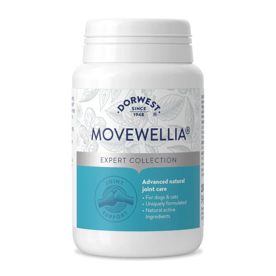 Dorwest Movewellia