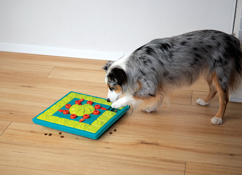 Nina Ottosson MultiPuzzle