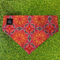 Kaleidoscope Slip-On Dog Bandana