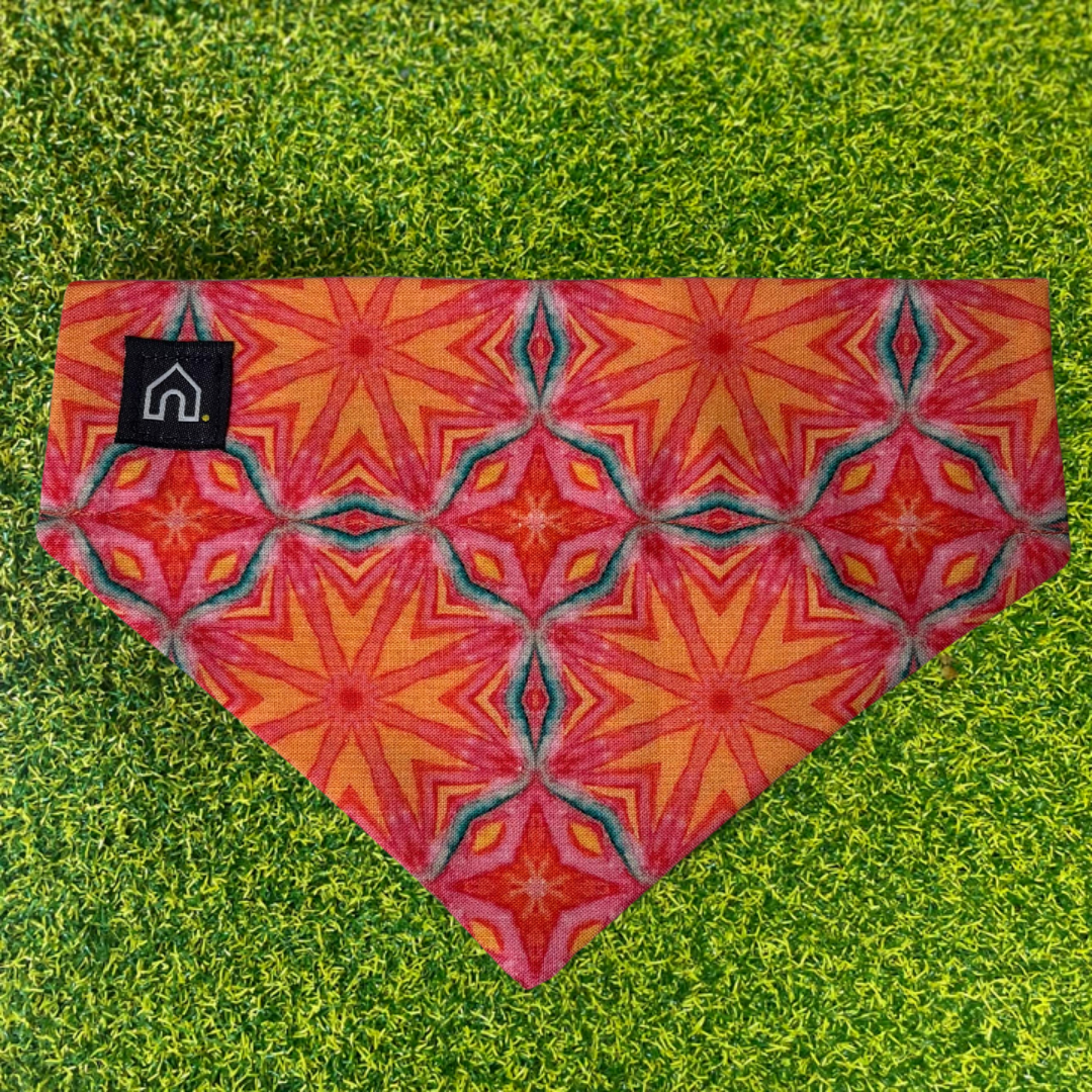 Kaleidoscope Slip-On Dog Bandana