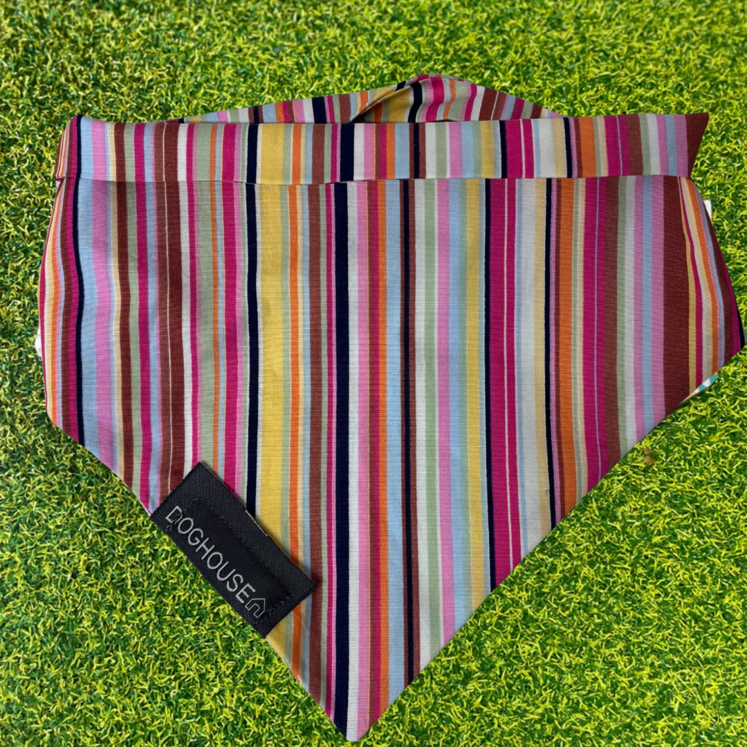 Pawliora Multi Stripe Dog Bandana